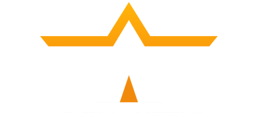 Stars Delightful Agency logo